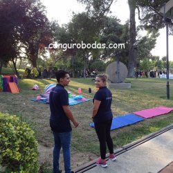 enlace cavas codorniu